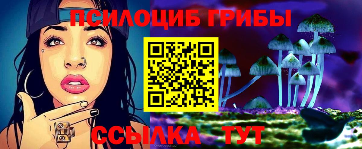 Галлюциногенные грибы Magic Shrooms  Железногорск  Галлюциногенные грибы Magic Shrooms 