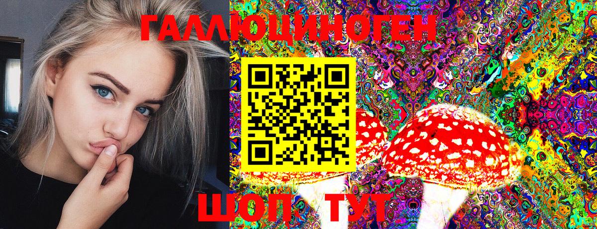 Псилоцибиновые грибы Psilocybe Железногорск